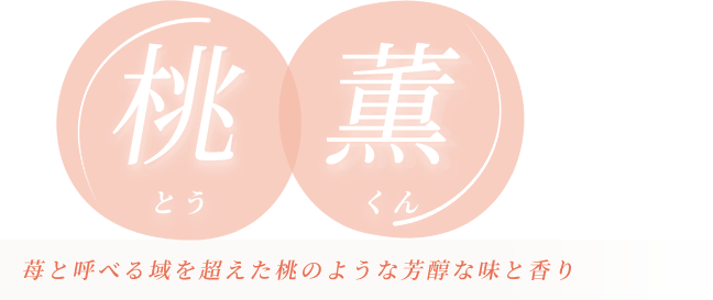 桃薫(とうくん) 苺と呼べる領域を超えた桃のような芳醇な味と香り